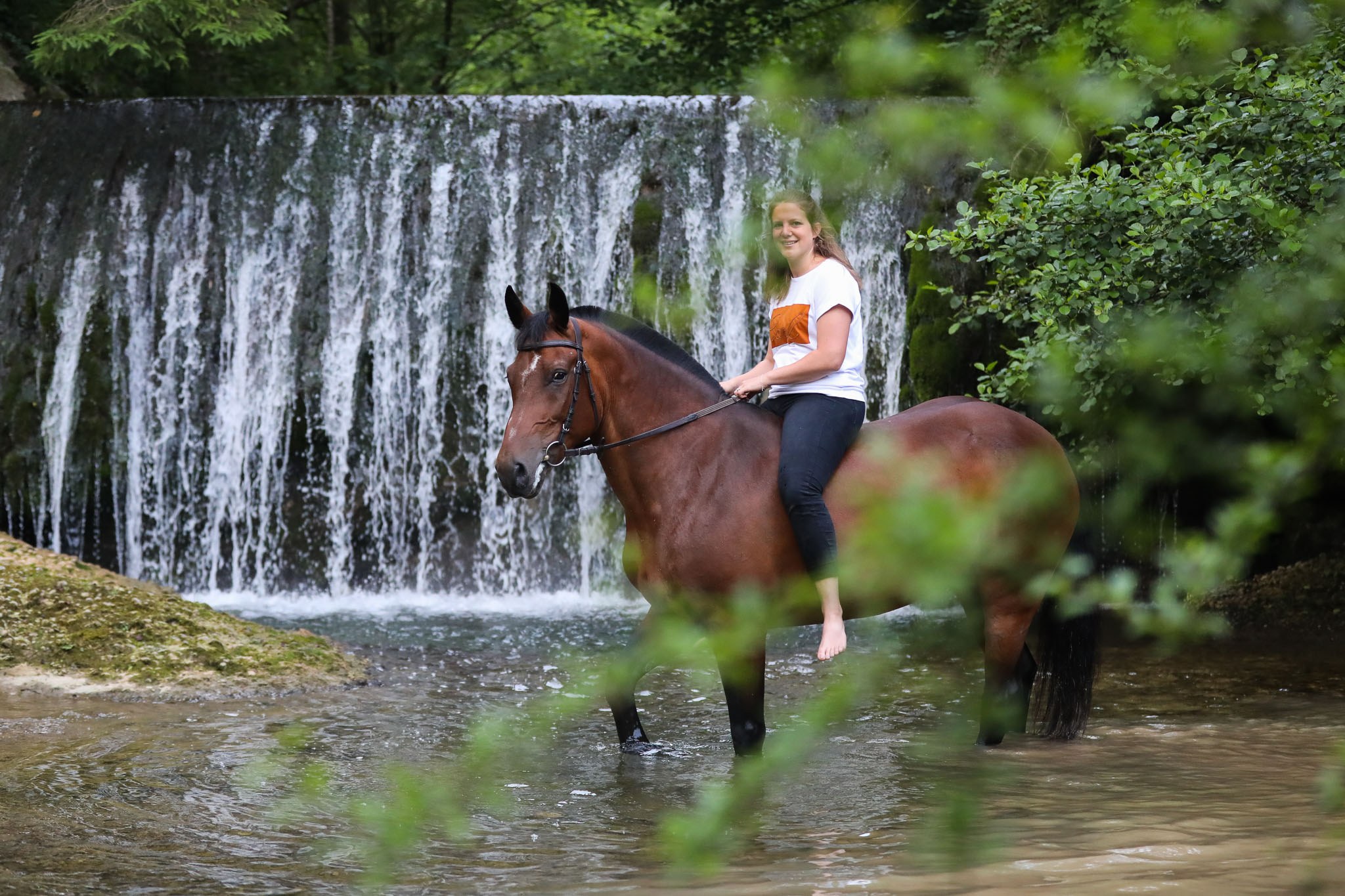 Pferdefotografie am Wasser – Photo Stoll