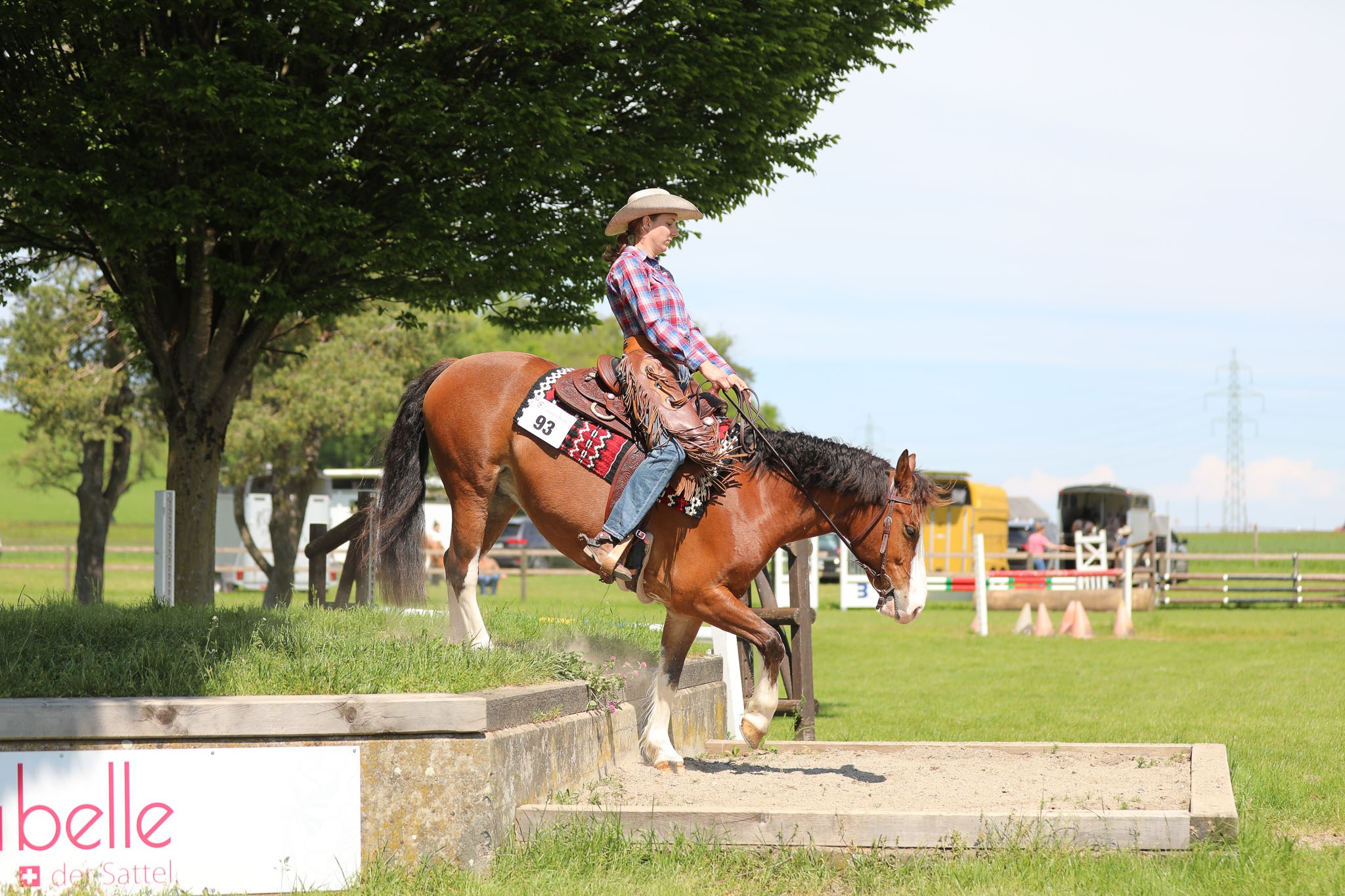 Westernreiten im Parcours